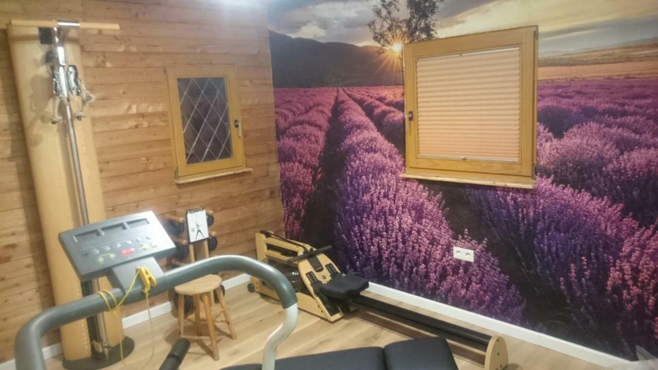 Eifelyeti Ferienwohnung Ellscheid Dış mekan fotoğraf